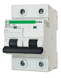 Автоматичний вимикач FB3-125 EVO 2P C 80A ( FB3C2080 )