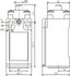 Вимикач шляховий FLS15M11P66 штовхач ( FLS15M11P66 )